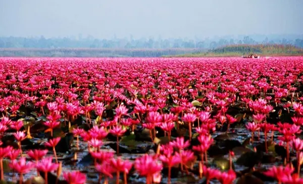 تالاب جادویی انزلی