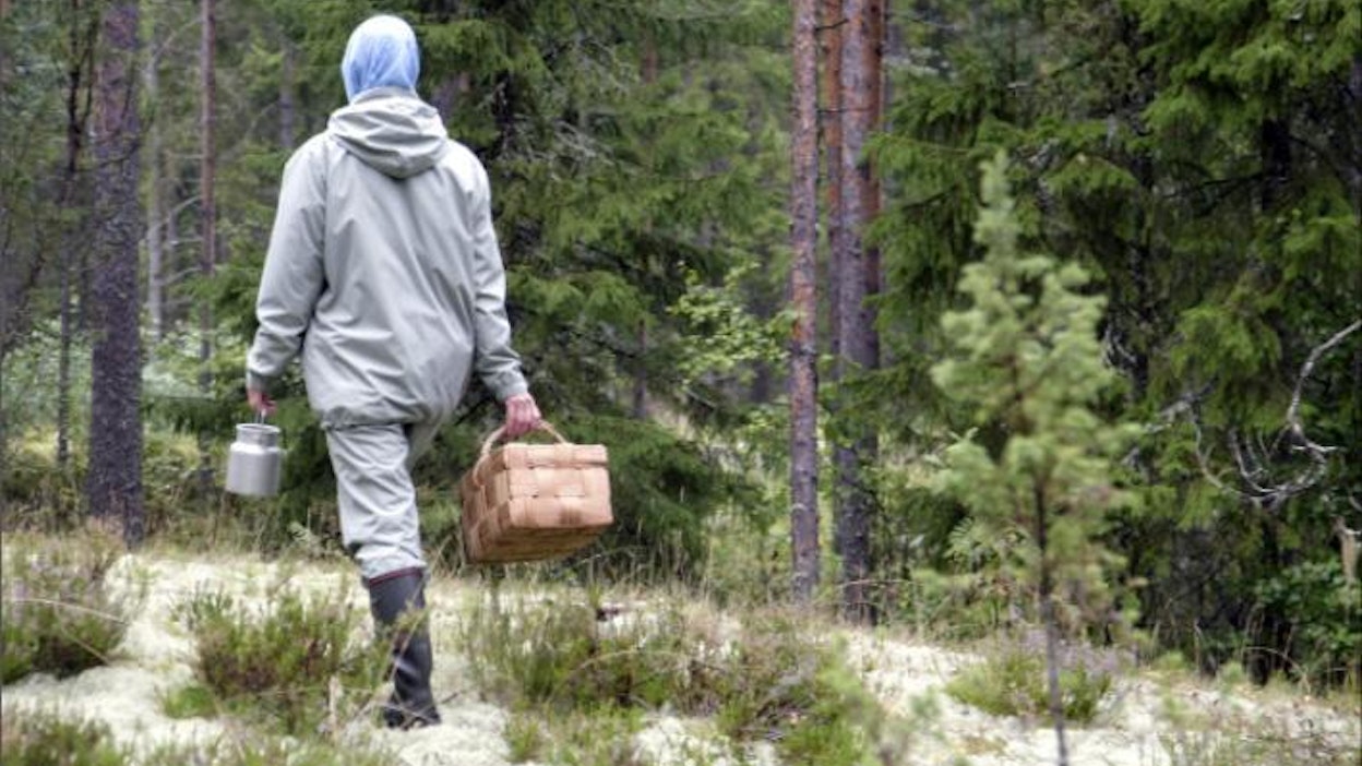 سفر انفرادی برای درونگراها