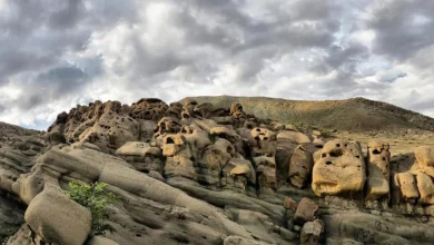 وردیج؛ گالری وحشت طبیعت