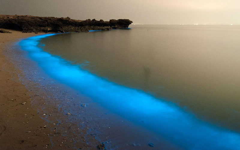 جزایر گمشده و ناشناخته ایران