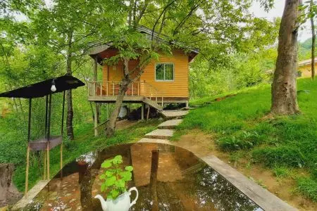 ماه عسل در کلبههای گیلان