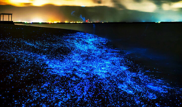 جزایر گمشده و ناشناخته ایران
