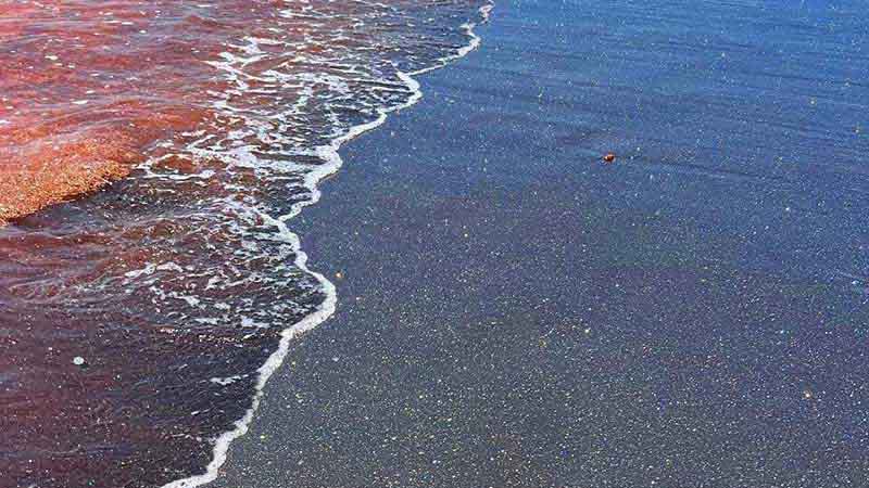 جزایر گمشده و ناشناخته ایران