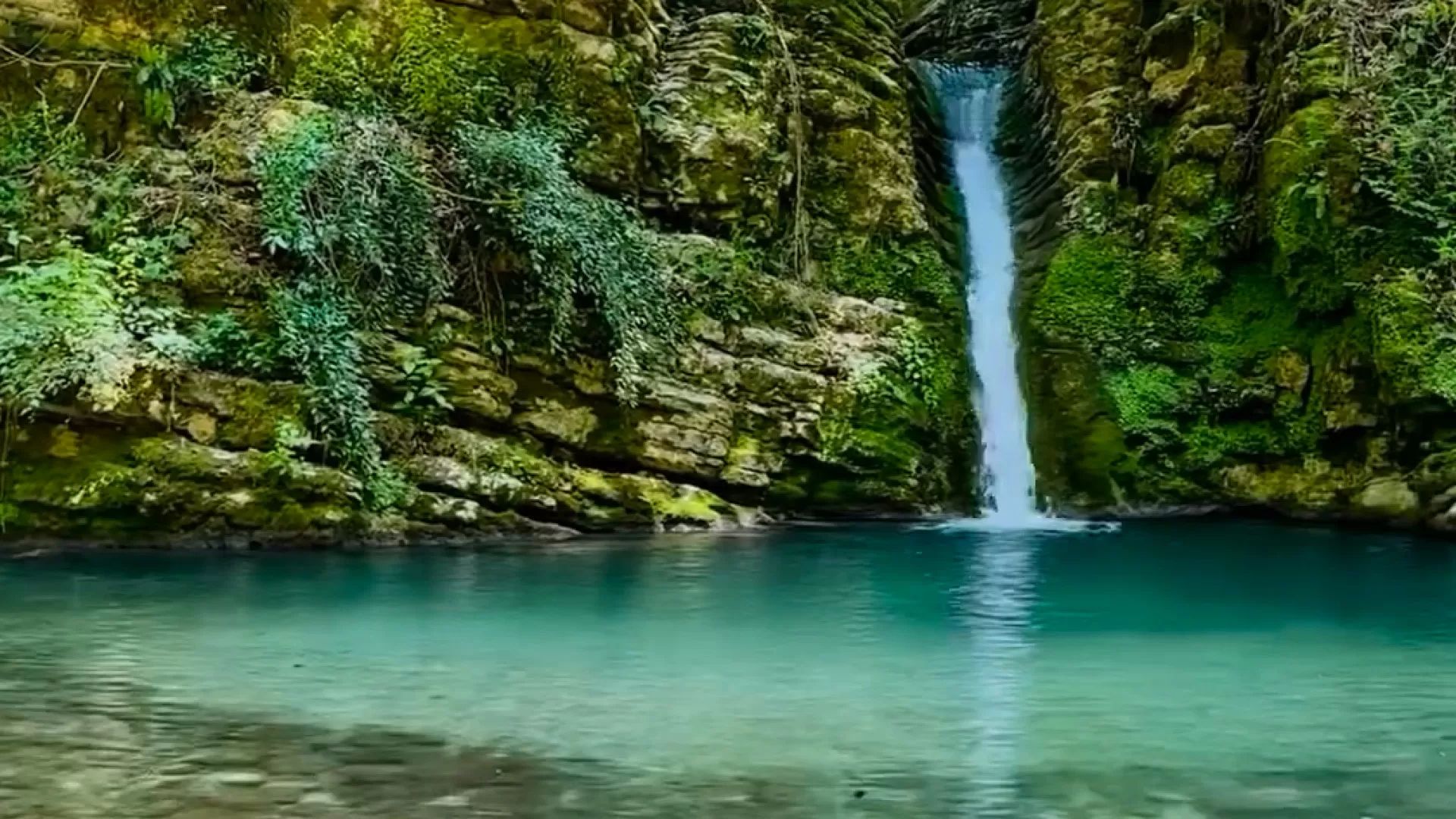 تنگه دار نوشهر