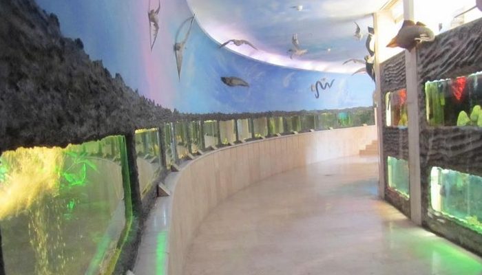 موزه دار آباد تهران بخش فسیل شناسی,دیدنی های تهران,موزه دارآباد تهران