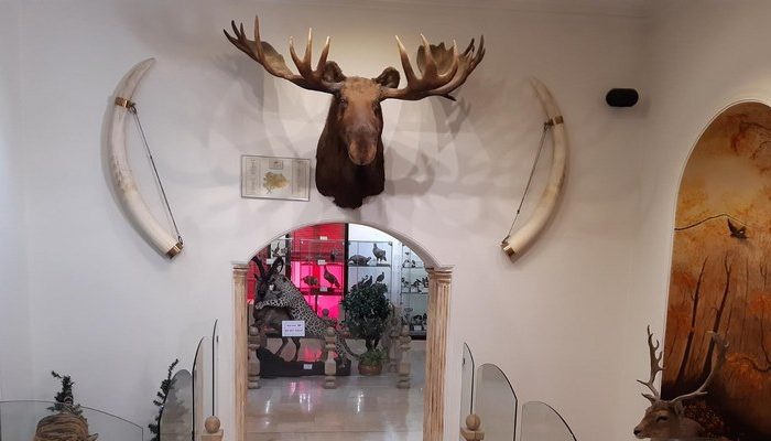 موزه دار آباد تهران هتل های تهران,بخش فسیل شناسی,دیدنی های تهران