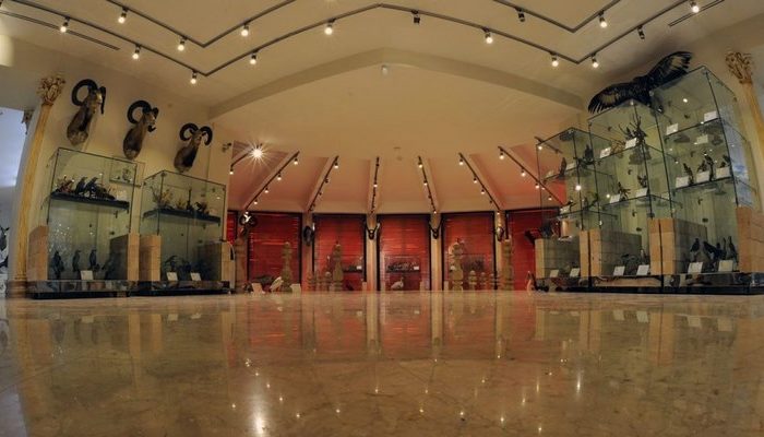 موزه دار آباد تهران بخش فسیل شناسی,دیدنی های تهران,موزه دارآباد تهران