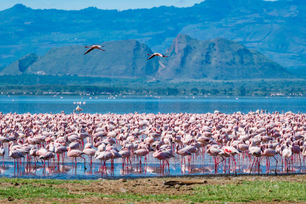 خطرناکترین مکانهای جهان برای گردشگری