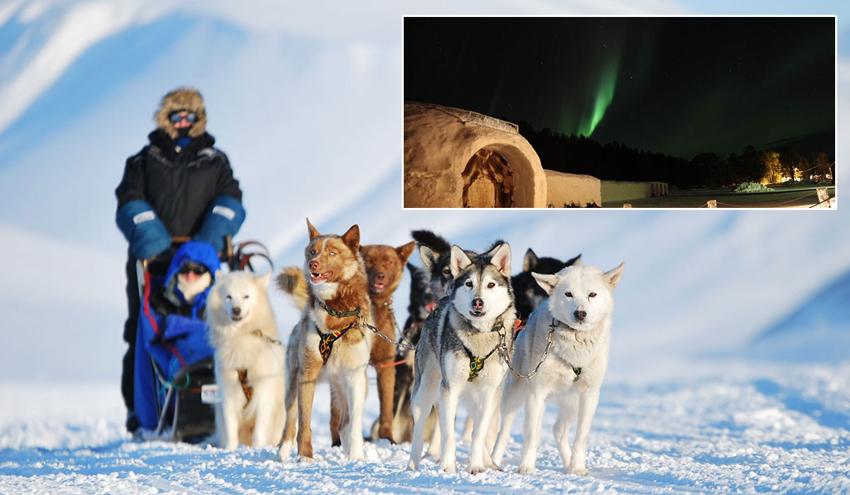 هتل Sorrisniva Igloo Hotel