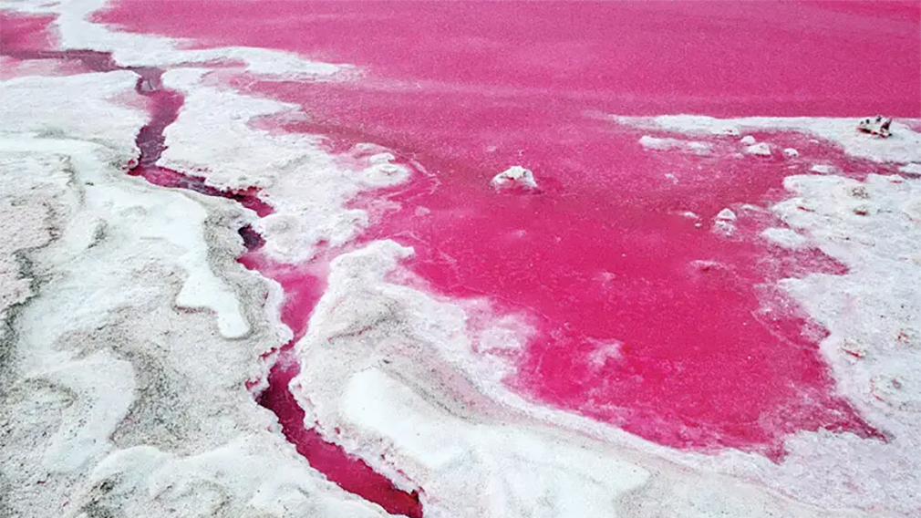 دریاچه مهارلو شیراز دریاچه صورتی شیراز,دریاچه مهارلو,روستای مهارلو شیراز