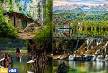 شمال یا جنوب ایران؟ راهنمای انتخاب مقصد برای سفر خانوادگی