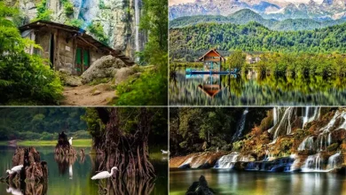 شمال یا جنوب ایران؟ راهنمای انتخاب مقصد برای سفر خانوادگی