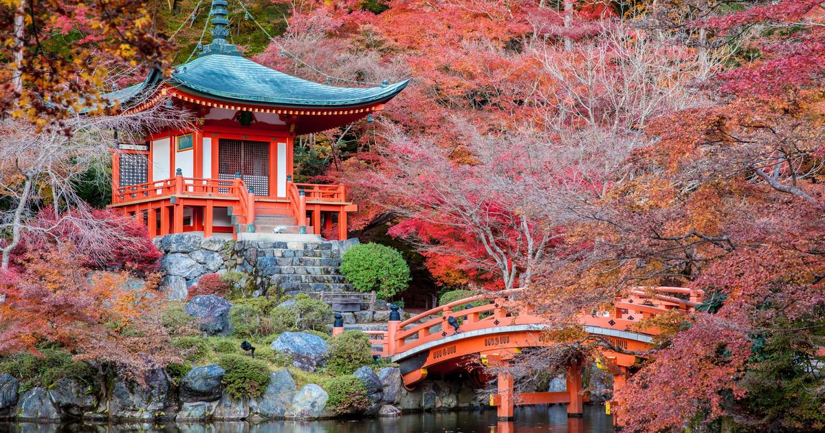 سفر انفرادی برای درونگراها