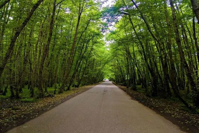 راهنمای سفر به تالش