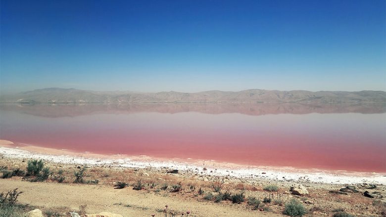 دریاچه صورتی شیراز,دریاچه مهارلو,روستای مهارلو شیراز
