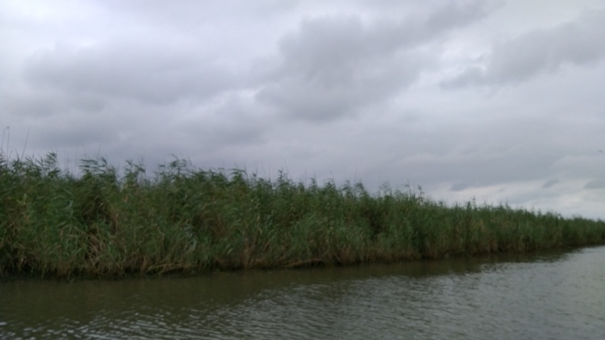 تالاب جادویی انزلی