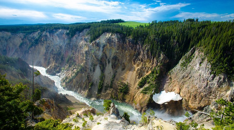 پارک یِلوستون