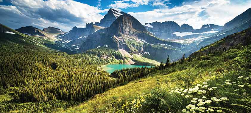 پارک یِلوستون