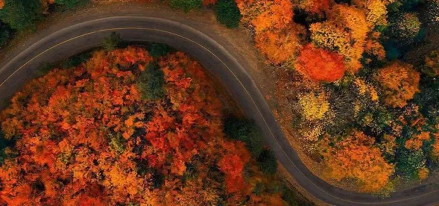 راهنمای جامع سفر به جنگل ابر و جاده اسالم به خلخال در پاییز
