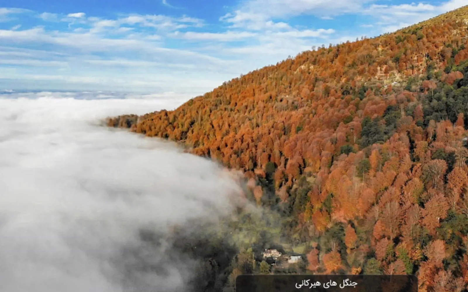 جنگل های مازندران؛ راهنمای کامل دیدنی ها و بهترین زمان سفر