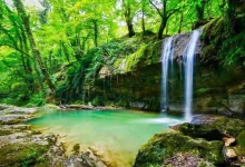 جنگل های مازندران؛ راهنمای کامل دیدنی ها و بهترین زمان سفر