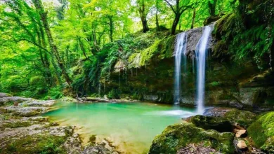 جنگل های مازندران؛ راهنمای کامل دیدنی ها و بهترین زمان سفر