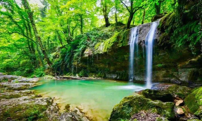 جنگل های مازندران؛ راهنمای کامل دیدنی ها و بهترین زمان سفر