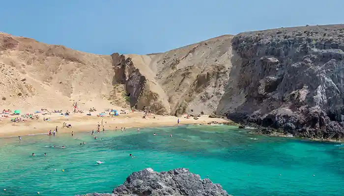 جزایر قناری