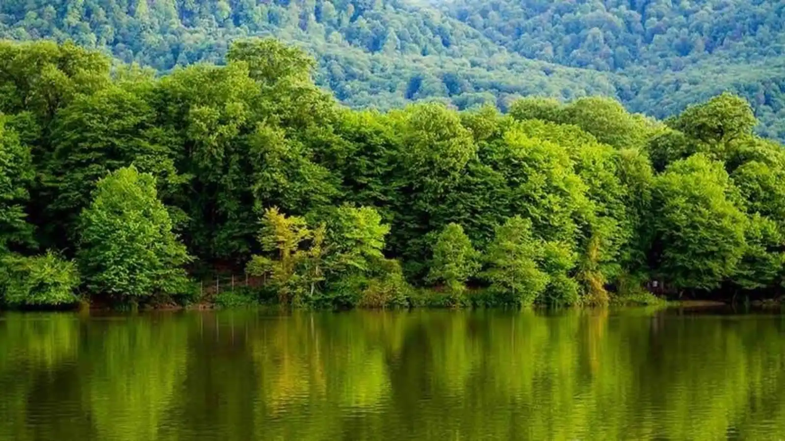 جنگل های مازندران؛ راهنمای کامل دیدنی ها و بهترین زمان سفر
