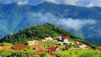از گشت‌وگذار ساحلی تا کوهستان؛ برنامه سفر کامل به شمال