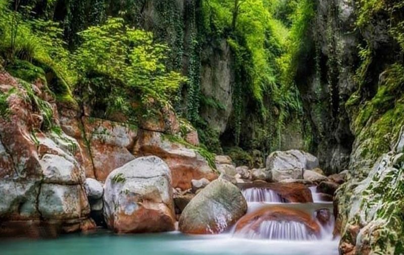 تنگه دار نوشهر