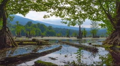 دریاچه ممرز: تالاب ارواح