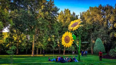 بهترین پارک‌های تهران برای پیک‌نیک؛ از فضای سبز تا امکانات کامل