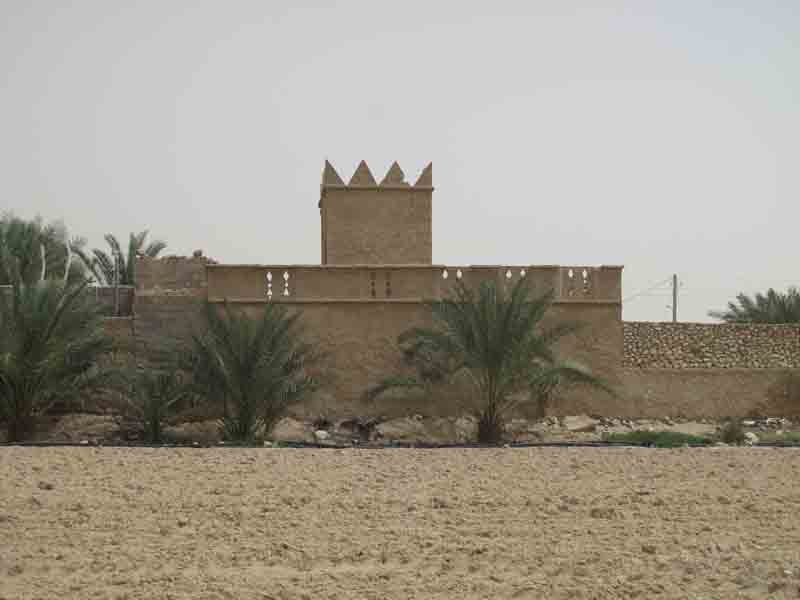 بوشهر در آغوش خلیج فارس